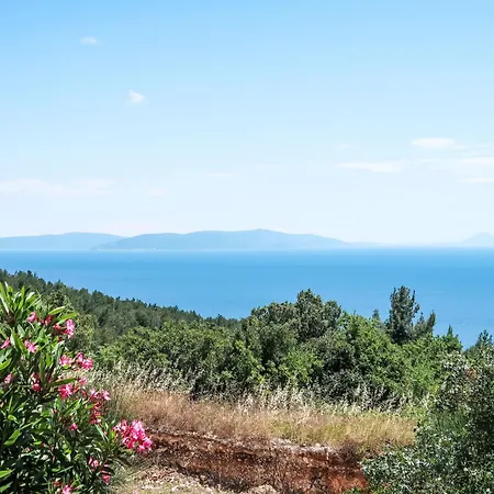 Orhideja Und Magnolia-3 By Interhome * Rabac
